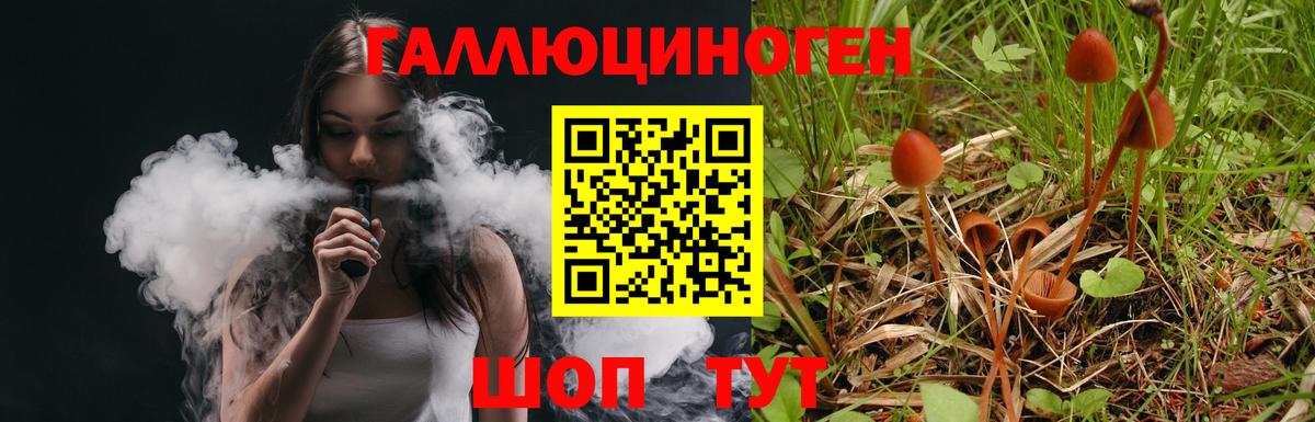 Псилоцибиновые грибы Psilocybe Жуковский
